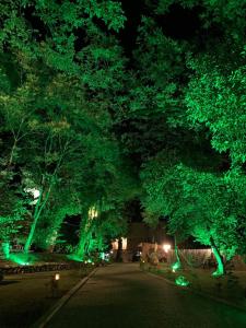 uma rua arborizada à noite com luzes verdes em Royal Palace Hotel, Lagodekhi em Lagodekhi