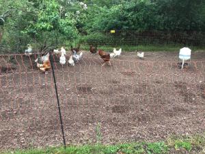 ジェドバラにあるHundalee Houseのギャラリーの写真