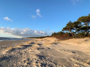 une plage de sable avec des arbres à l'horizon dans l'établissement Arunes Apartments, à Palanga