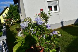 Vonkajšia záhrada v ubytovaní House Burić