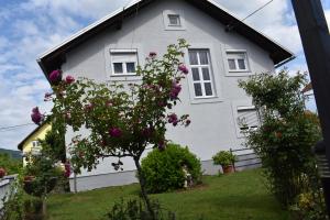Vonkajšia záhrada v ubytovaní House Burić