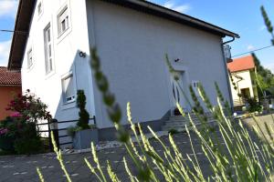 Vonkajšia záhrada v ubytovaní House Burić