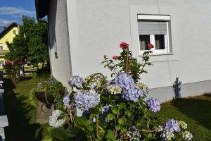 Vonkajšia záhrada v ubytovaní House Burić