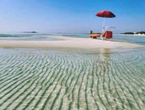 una spiaggia con sedia, ombrellone e acqua di La casa di Peter a Torre Lapillo