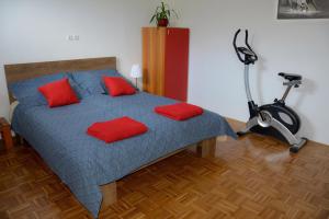 A bed or beds in a room at Apartma Vidmar