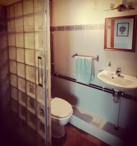 y baño con aseo y lavamanos. en Maset del Garraf, en Olesa de Bonesvalls