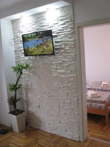 uma parede de tijolos com uma pintura em Apartman Jana Apatin em Apatin