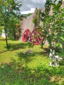 A garden outside Stavrini's House
