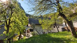 a view of a house with mountains in the background at Apartmaji Pekovec Bohinj in Bohinj