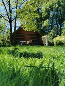eine Hütte inmitten eines Grasfeldes in der Unterkunft Agroturystyka w ogrodach in Sanok