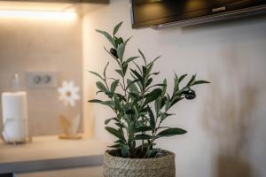 Fotografie z fotogalerie ubytování Apartments Olivia & Navy, Šilo v destinaci Šilo