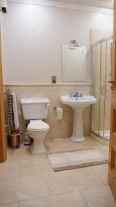 Koupelna v ubytování Mullingar town apartment 2 bedrooms