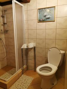 ein Bad mit einem WC und einer Dusche in der Unterkunft Agroturystyka w ogrodach in Sanok