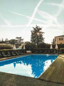 a swimming pool with lounge chairs and a tree at Hotel Benacus in Lazise