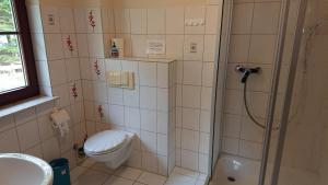 a bathroom with a shower and a toilet and a sink at Gartenblick in Lütow