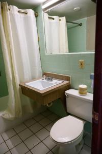 a bathroom with a sink and a toilet and a mirror at OAKS MOTEL GREENSBORO NC in Greensboro
