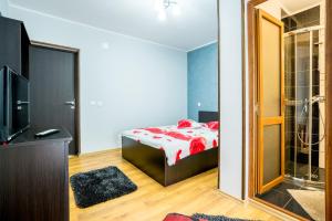 a bedroom with a bed and a tv and a shower at Vila Nico in Baia de Fier