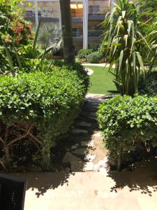 un jardín con arbustos verdes y un edificio en Royal Park Eilat - Garden Apartment by CROWN en Eilat