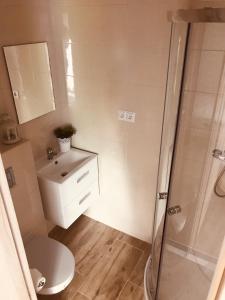 a bathroom with a shower and a toilet and a sink at Pokoje Gościnne Lena in Święta Katarzyna +13 photos