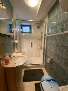 a bathroom with a shower and a sink and a toilet at Apartments RGETO in Ston +54 photos
