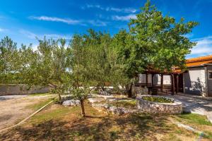 a garden in front of a house with a tree at Villa Eagle in Benkovac