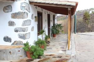 ティハラフェにあるVivienda Vacacional Capellania con Piscina Tijarafeの鉢植えの建物