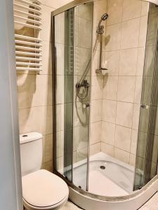 a bathroom with a toilet and a shower at Studio in Center in Krakow