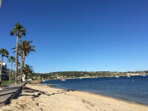 een strand met palmbomen en de oceaan op een zonnige dag bij Bandol, vue panoramique sur la mer, la plage, le port in Bandol