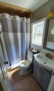 a bathroom with a toilet and a sink and a shower at Birch Knoll Motel in Laconia