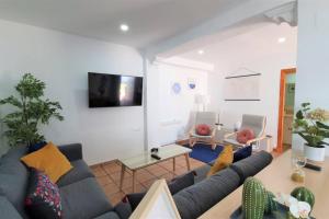 TV a/nebo společenská místnost v ubytování "Ñ" Casa Rural El Romeral - ALEGRÍA Housing