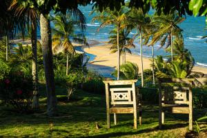 zwei Stühle auf dem Gras in der Nähe eines Strandes in der Unterkunft Hotel Calá & Divino in Praia do Espelho