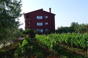 Zahrada ubytování Apartments Roža