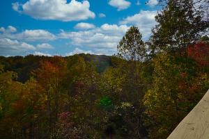 a view of a forest of trees in the fall at Mountain Serenity in Gatlinburg