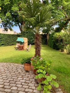 un jardín con una mesa, un banco y una palmera en Das Reetdachhaus - Paulines Höft, en Grömitz