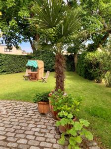 einen Garten mit einem Tisch, einer Bank und einer Palme in der Unterkunft Das Reetdachhaus - Paulines Höft in Grömitz