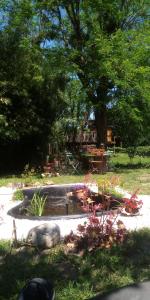 a park with a bench and a pond in the grass at Le gîte de la Mane in Saint-Pierre-dʼAurillac