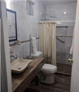a bathroom with a sink and a toilet and a shower at Tec, Brisas y Sur de Mty 54633 in Monterrey