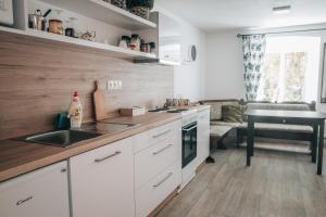 Kuchyň nebo kuchyňský kout v ubytování Apartmán v přírodě v srdci Vysočiny 1