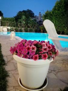 Der Swimmingpool an oder in der Nähe von 2 bedrooms villa with shared pool furnished garden and wifi at Ragusa