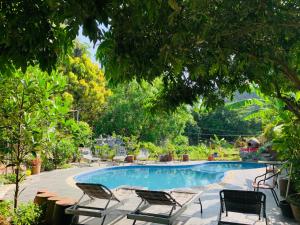 a swimming pool with two chairs and a tree at Tuan Nam Homestay in Ninh Binh