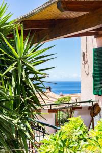 馬爾恰納的住宿－Casa Gelso，阳台享有海景。