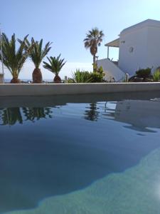 a swimming pool with palm trees and a house at Porto Raphael Residences & Suites in Agios Ioannis Tinos