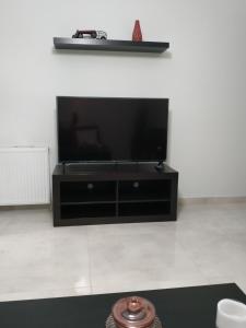 Televízia a/alebo spoločenská miestnosť v ubytovaní Arxontia 2