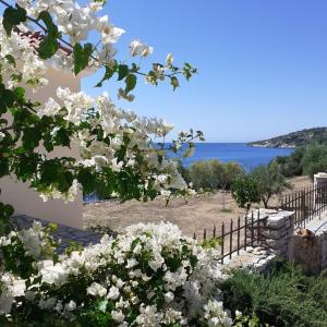 Galeriebild der Unterkunft Seafront Studio with direct beach access in Koroni