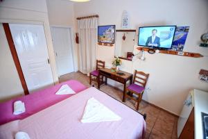 Televízia a/alebo spoločenská miestnosť v ubytovaní Ikaria Studios