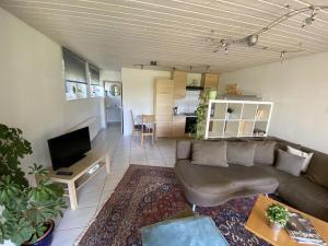 a living room with a couch and a tv at Haus Höhneck 1 in Alpirsbach