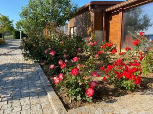 a garden of red roses in front of a house at Gites Des Sablons in Châtillon-sur-Marne
