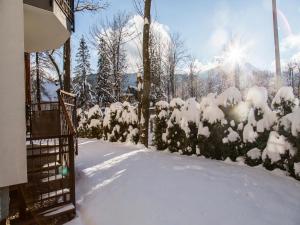udanypobyt Apartamenty Tuwima v zime
