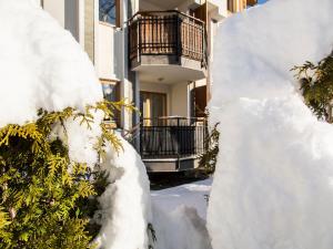 udanypobyt Apartamenty Tuwima v zime