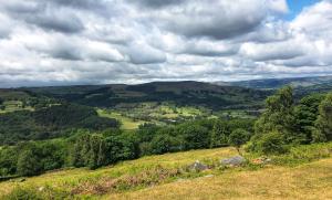 Gallery image of Millstone Country Inn in Hathersage